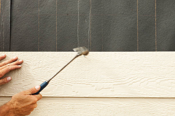 Best Siding Painting and Refinishing  in Bishop, CA